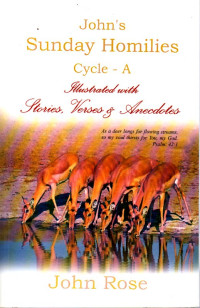 Image of John's Sunday homilies : illustrated with stories, verses & anecdotes : cycle-A